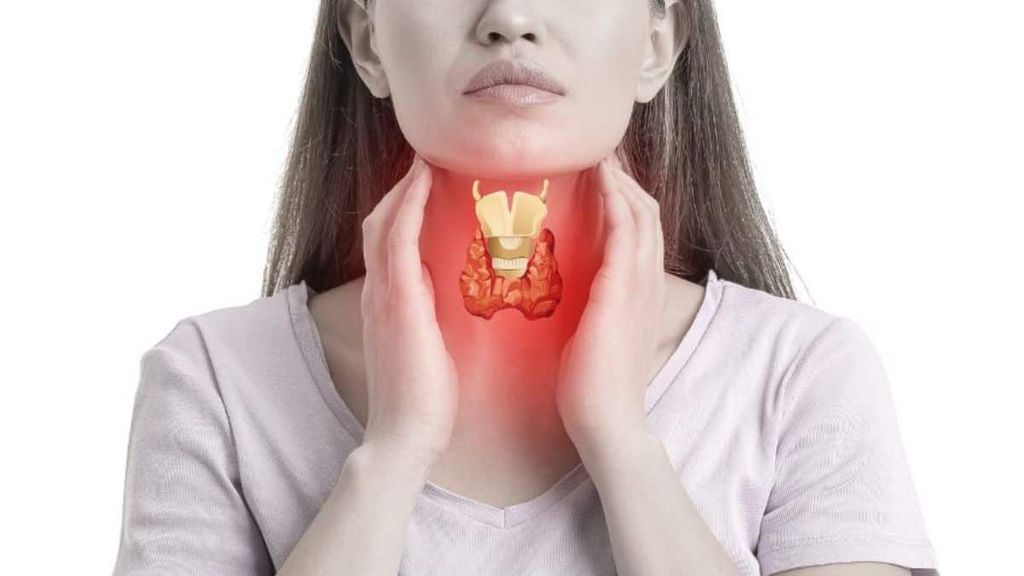 La importancia de chequear la Tiroides, una glándula que tiene mucho que decir La importancia de chequear la Tiroides, una glándula que tiene mucho que decir