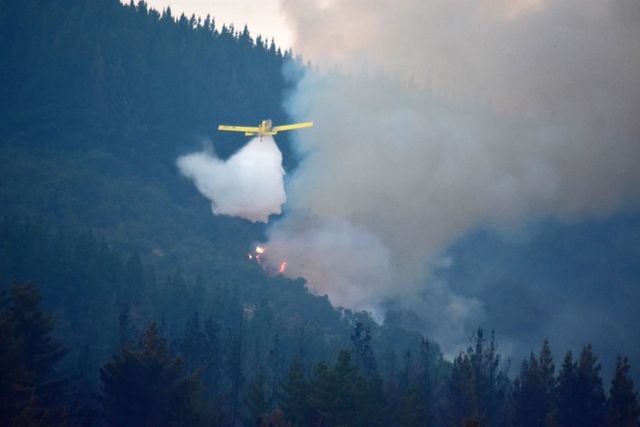 incendios maule conaf