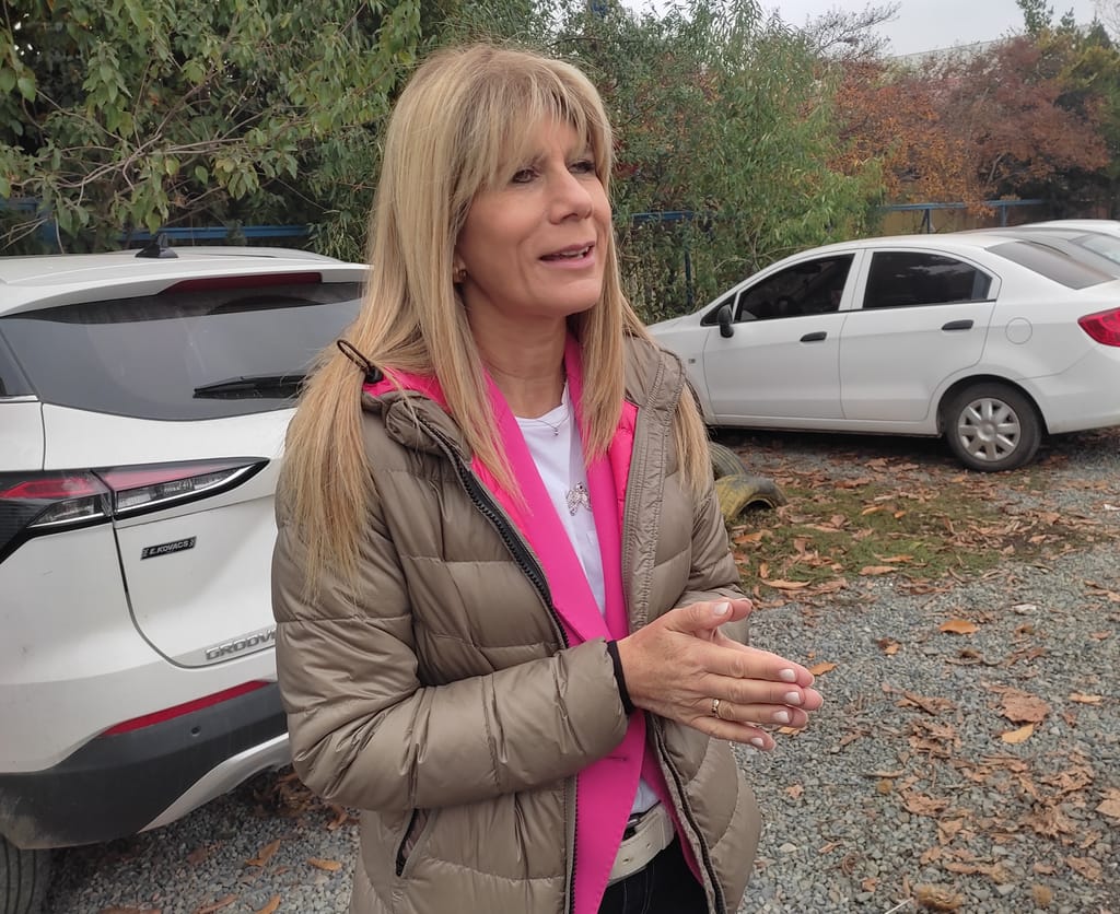 Senadora Rincón pide garantizar conectividad vial y mejorar servicio de telefonía en precordillera de Linares Senadora Rincón pide garantizar conectividad vial y mejorar servicio de telefonía en precordillera de Linares