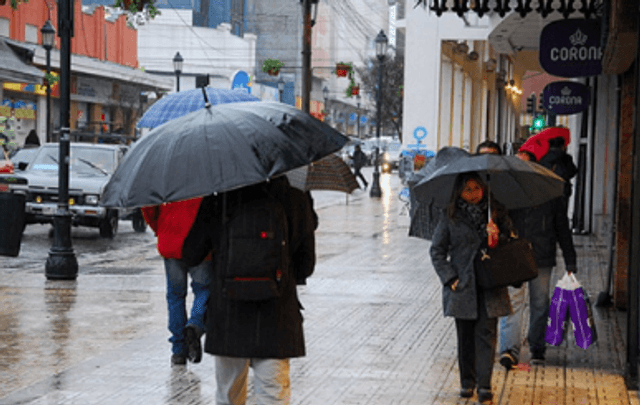 Imagen de referencia Imagen de referencia