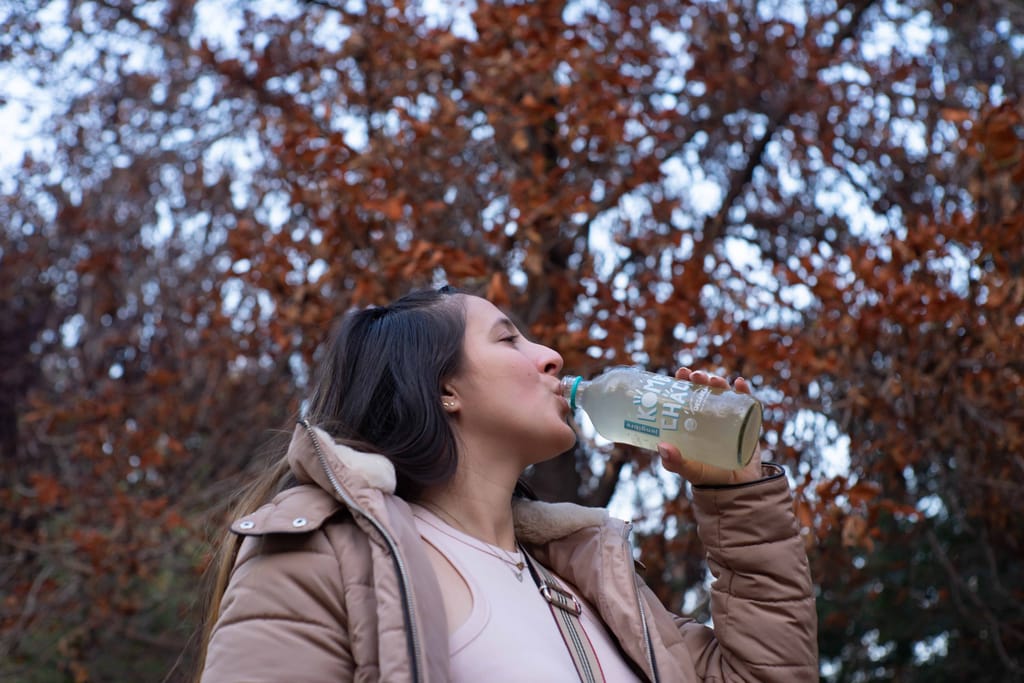 ¿Por qué los fermentados y el chocolate oscuro son alimentos beneficiosos para el cerebro? ¿Por qué los fermentados y el chocolate oscuro son alimentos beneficiosos para el cerebro?