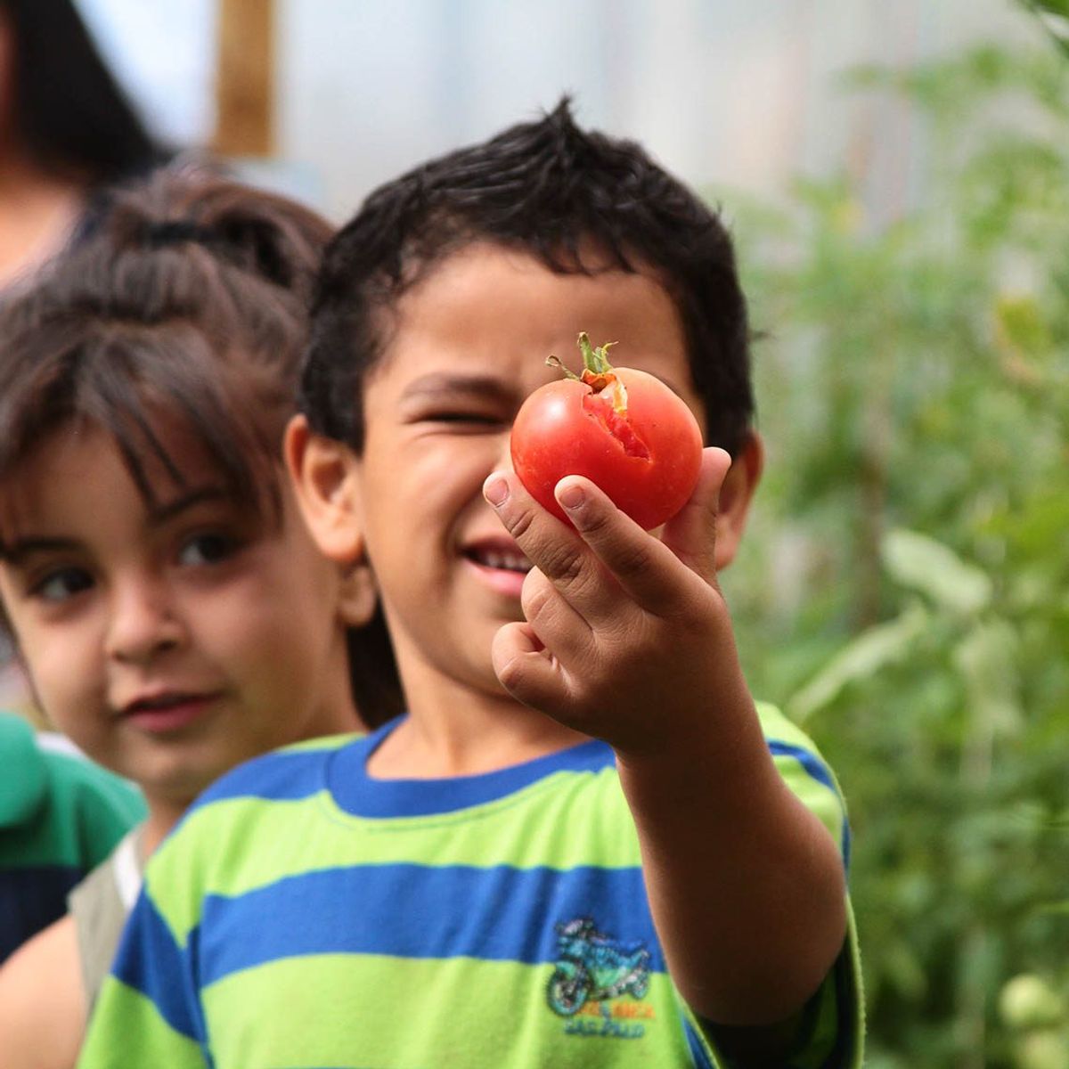 Programa: Vacaciones en mi jardín Programa: Vacaciones en mi jardín