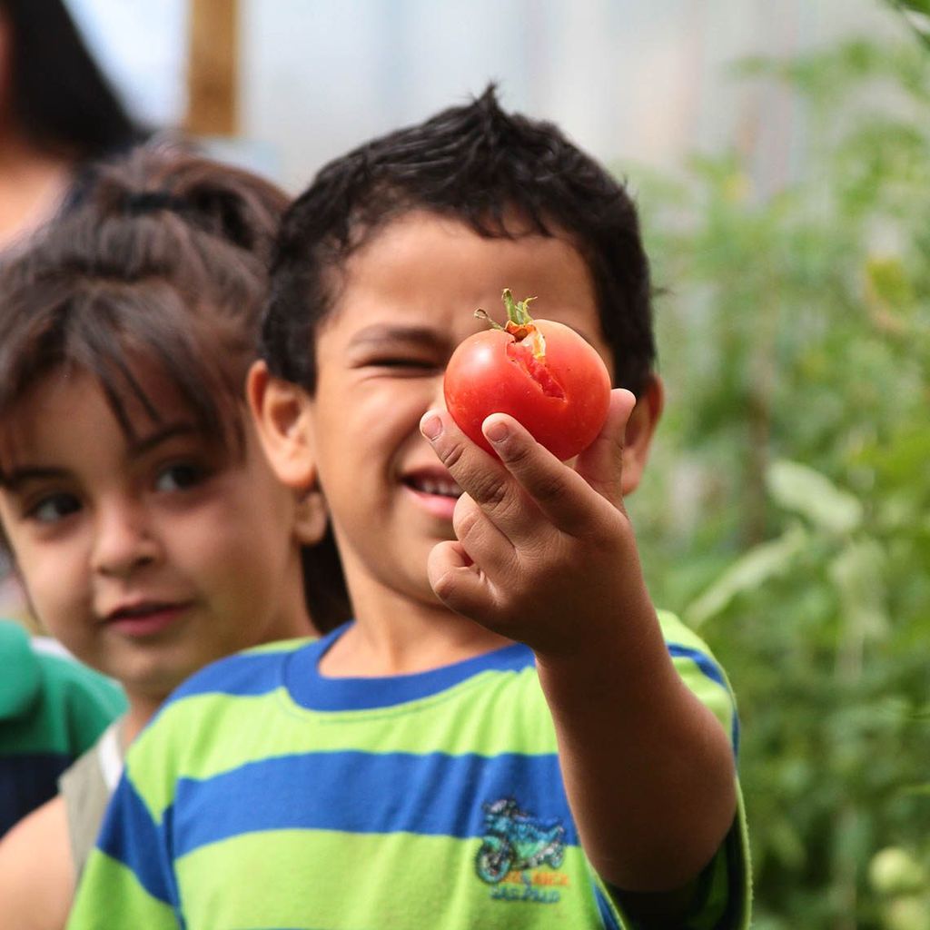 Programa: Vacaciones en mi jardín Programa: Vacaciones en mi jardín