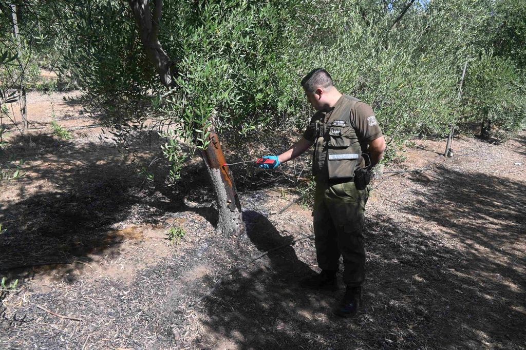 Carabineros de Chile Carabineros de Chile
