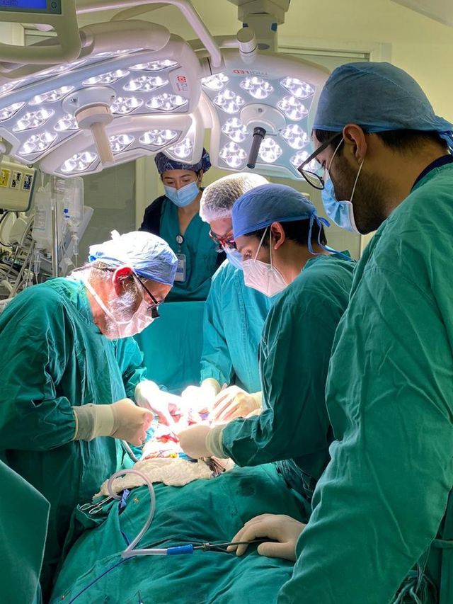 Donación de órganos