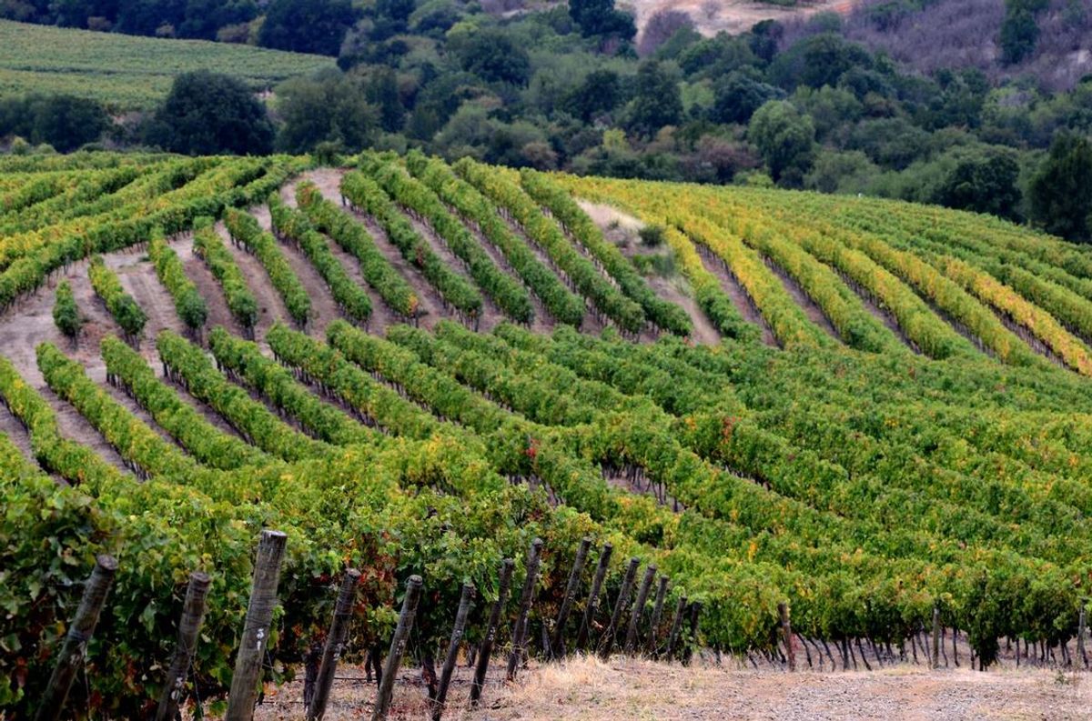 Valle_del_Maule Valle_del_Maule