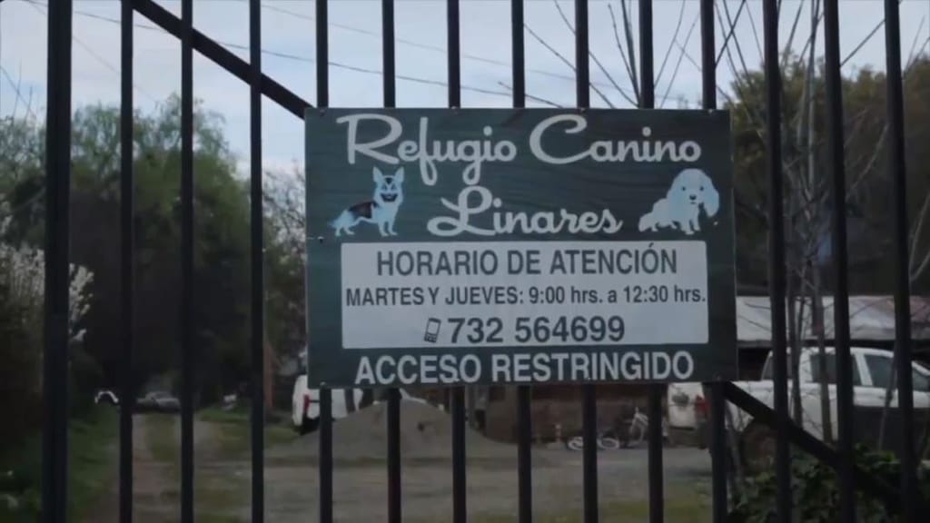 Sumario administrativo al municipio de Linares por licitación de canil municipal Sumario administrativo al municipio de Linares por licitación de canil municipal