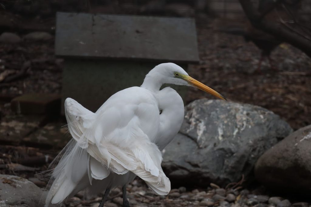 Jardín Botanico Talca Jardín Botanico Talca