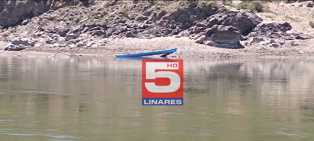 loncomilla loncomilla