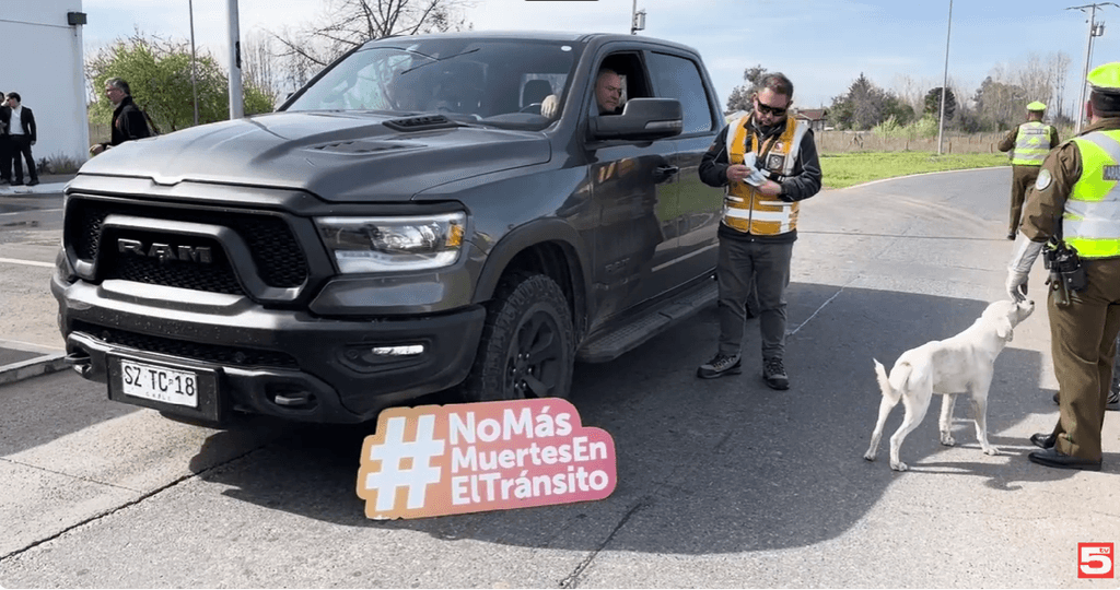 portada noticias portada noticias