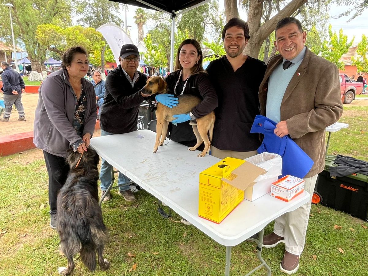 Gobierno en Sagrada Familia Gobierno en Sagrada Familia