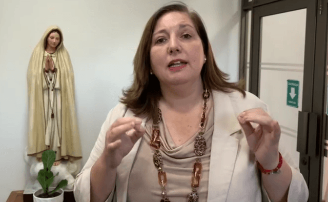 Diputada Paula Vodanodic