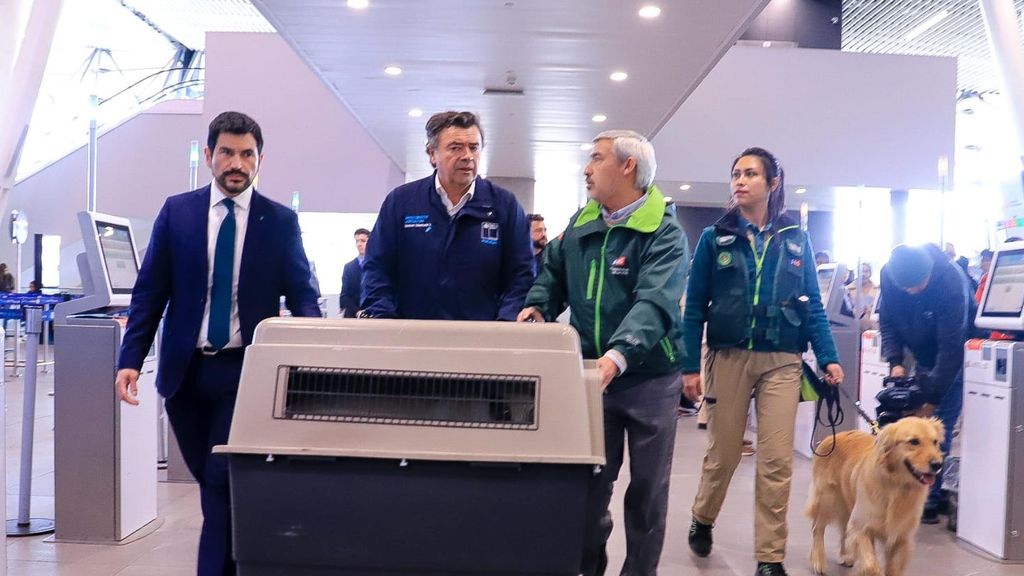 SAG Debido al aumento de viajes 1 SAG Debido al aumento de viajes 1