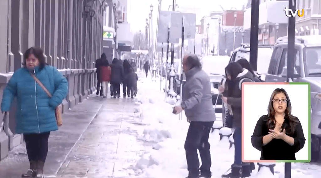 Nieve Magallanes Nieve Magallanes