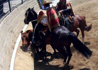 Gobierno rodeo