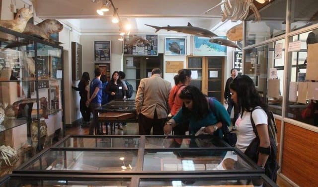 Museo Patrimonio