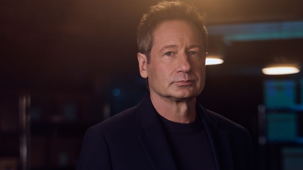 David Duchovny David Duchovny