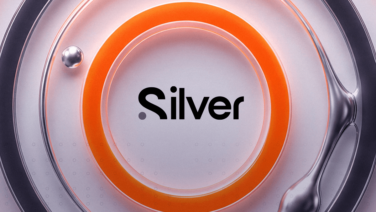 silver silver