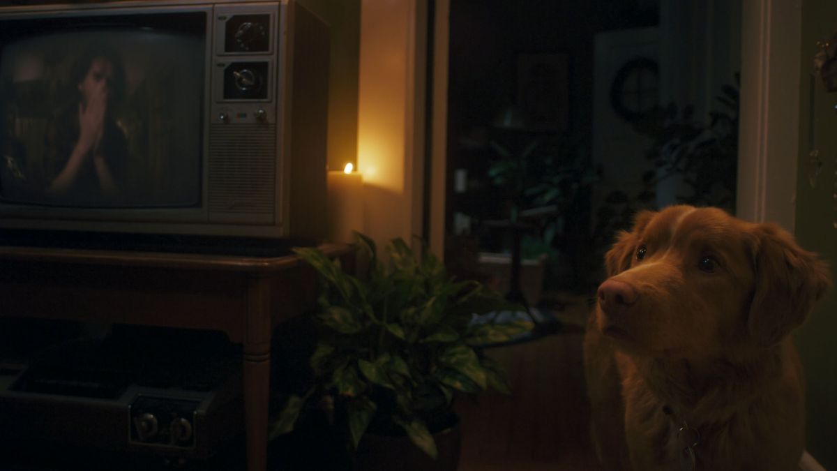 GOOD BOY - Still 8