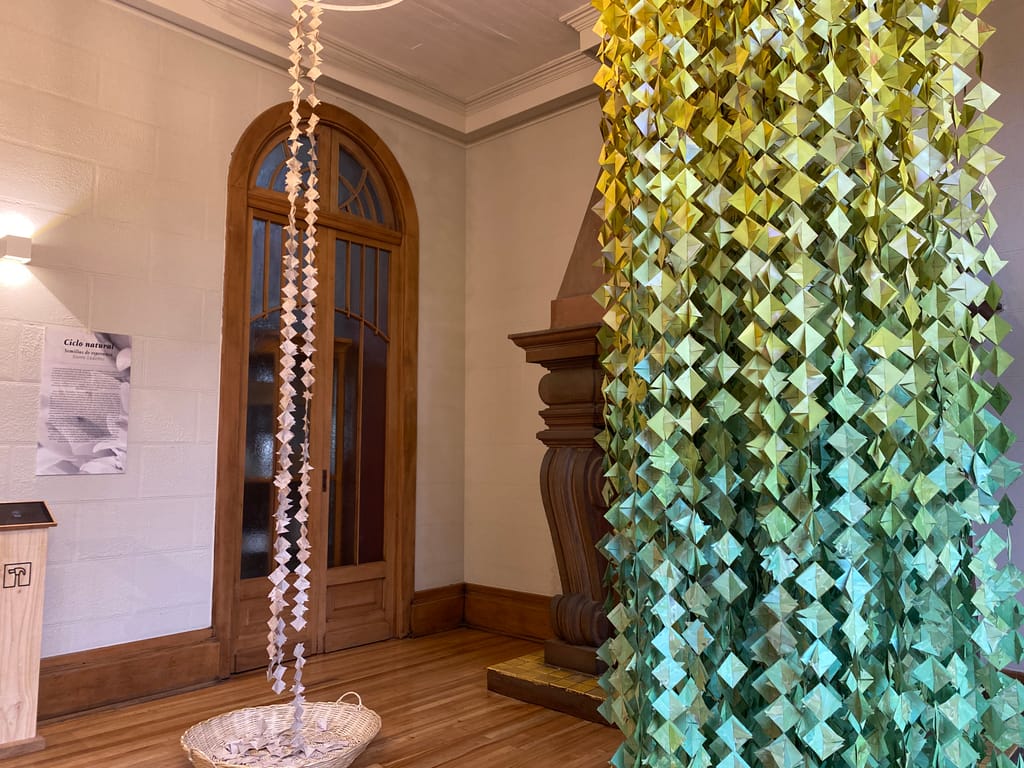 Museo Taller - Ciclo Natural Museo Taller - Ciclo Natural
