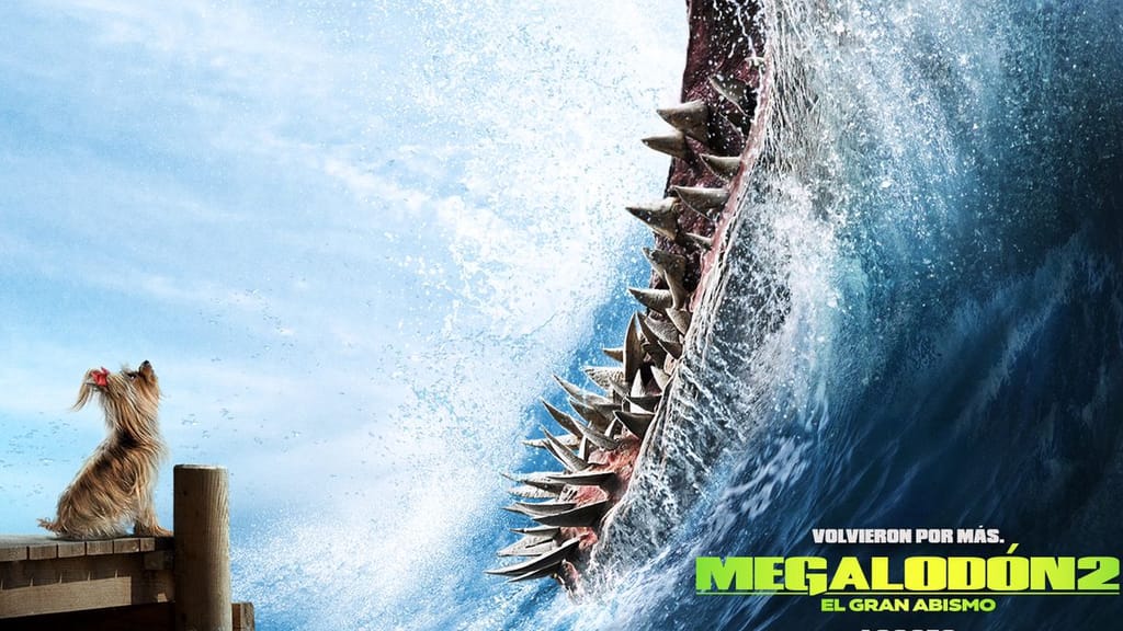 WhatsApp Image 2023-08-03 at 11 WhatsApp Image 2023-08-03 at 11