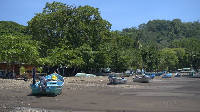 playa jacó playa jacó