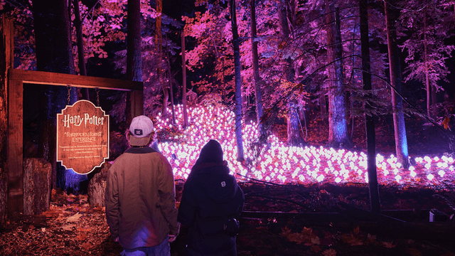 Harry Potter - Fever 3