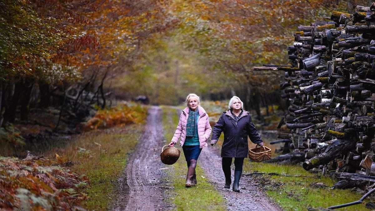 Quand vient l'automne Quand vient l'automne