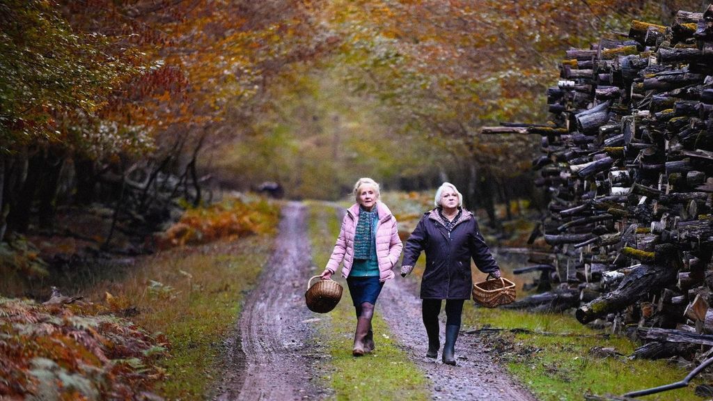 Quand vient l'automne Quand vient l'automne