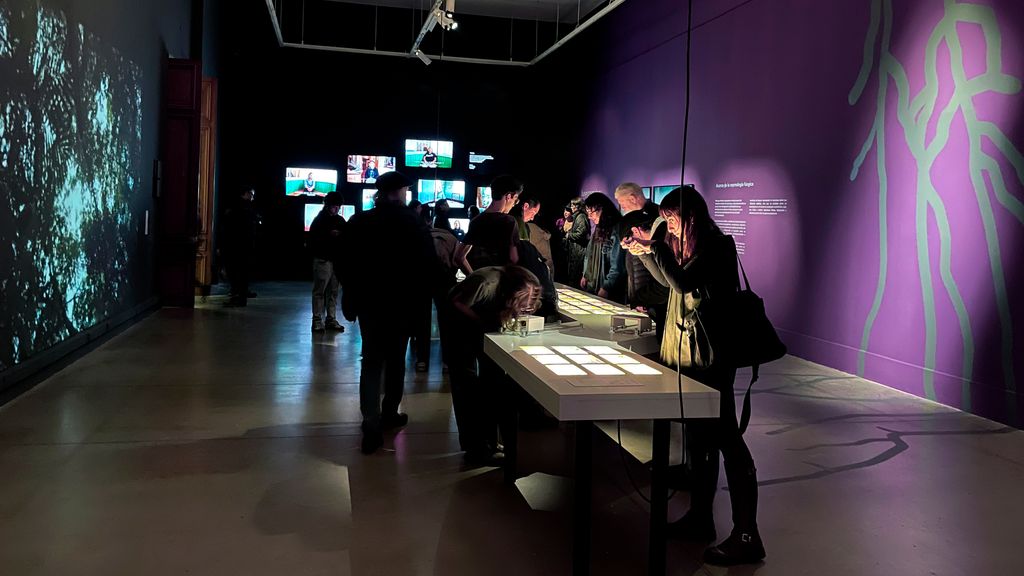 Fungi Cosmology Fungi Cosmology