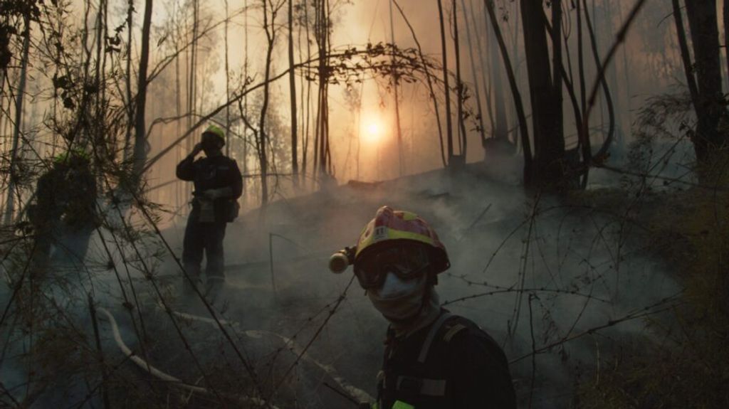 piropolis-nicolas-molina-1-1024x540 piropolis-nicolas-molina-1-1024x540