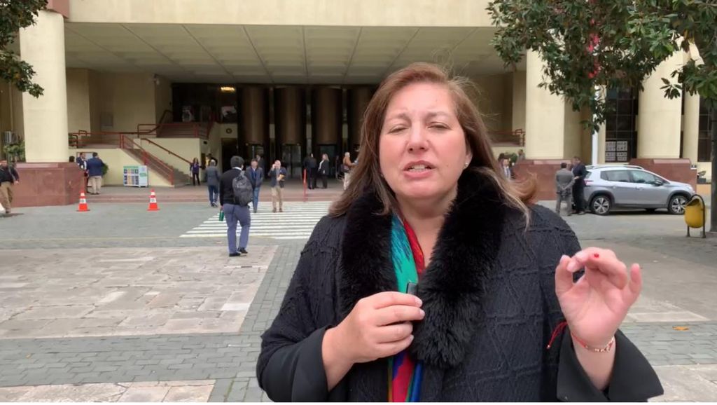 Senadora Vodanovic Senadora Vodanovic