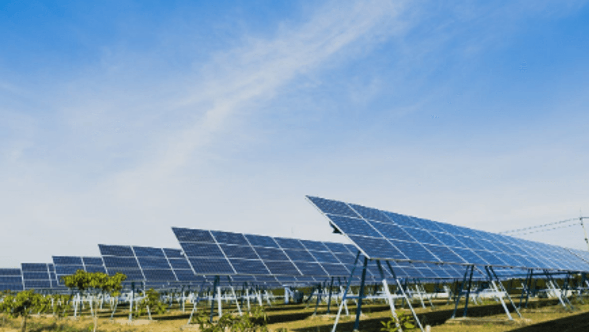 Imagen de referencia Imagen de referencia