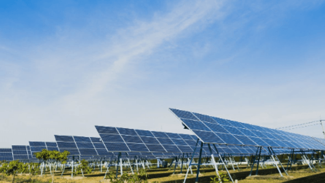 Imagen de referencia