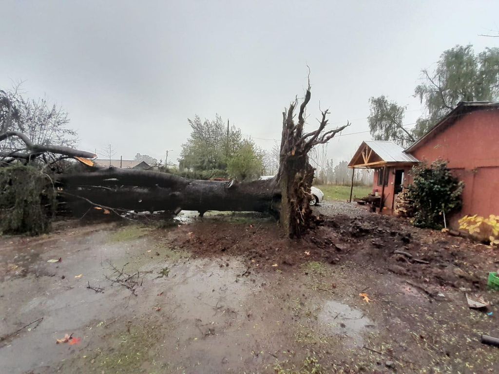 507762893_1454996912528580_2498669969436985188_n 507762893_1454996912528580_2498669969436985188_n