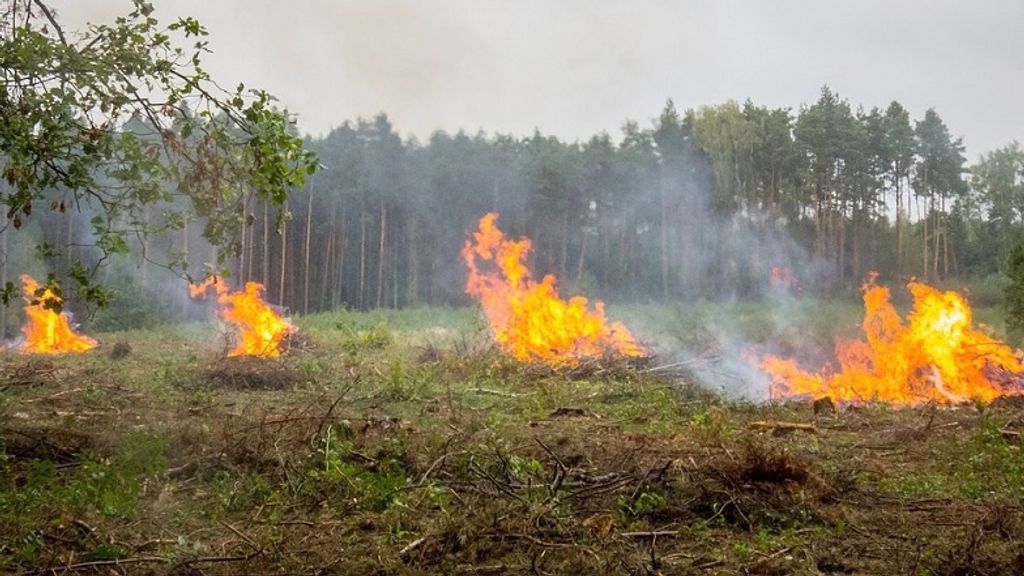 Formalizan a agricultor por iniciar fuego en predio de Yerbas Buenas Formalizan a agricultor por iniciar fuego en predio de Yerbas Buenas