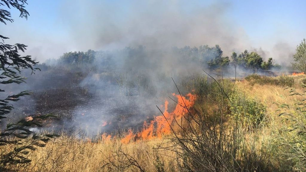 Autoridades decretan arresto domiciliario para sujeto con residencia en Linares acusado de comenzar un incendio en Pelluhue Autoridades decretan arresto domiciliario para sujeto con residencia en Linares acusado de comenzar un incendio en Pelluhue