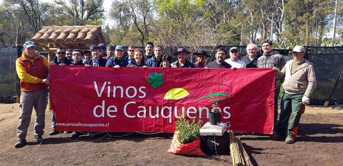 Entrega de alcornoques 1 Entrega de alcornoques 1