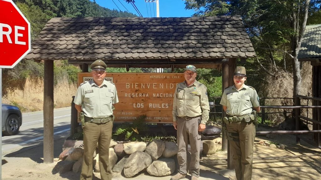 Carabineros previene los incendios forestales en las reservas nacionales "Los Ruiles" y "Federico Albert" Carabineros previene los incendios forestales en las reservas nacionales "Los Ruiles" y "Federico Albert"