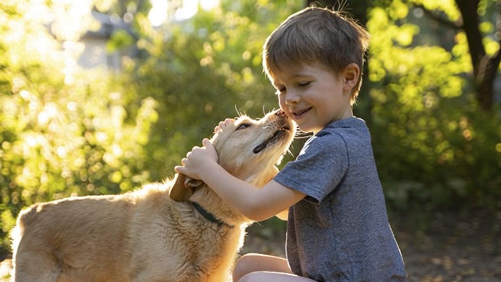 Gobierno lanza nueva campaña para incentivar la tenencia responsable de mascotas Gobierno lanza nueva campaña para incentivar la tenencia responsable de mascotas