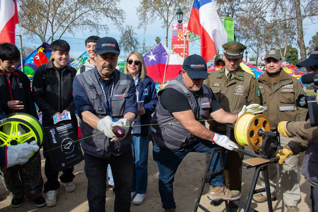 hilo curado hilo curado