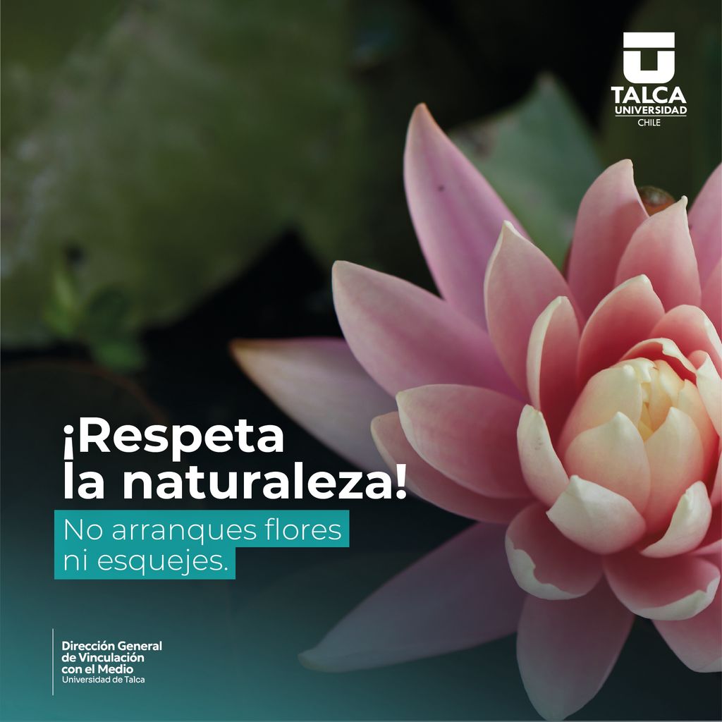 Post-Respeta-la-naturaleza utalca Post-Respeta-la-naturaleza utalca