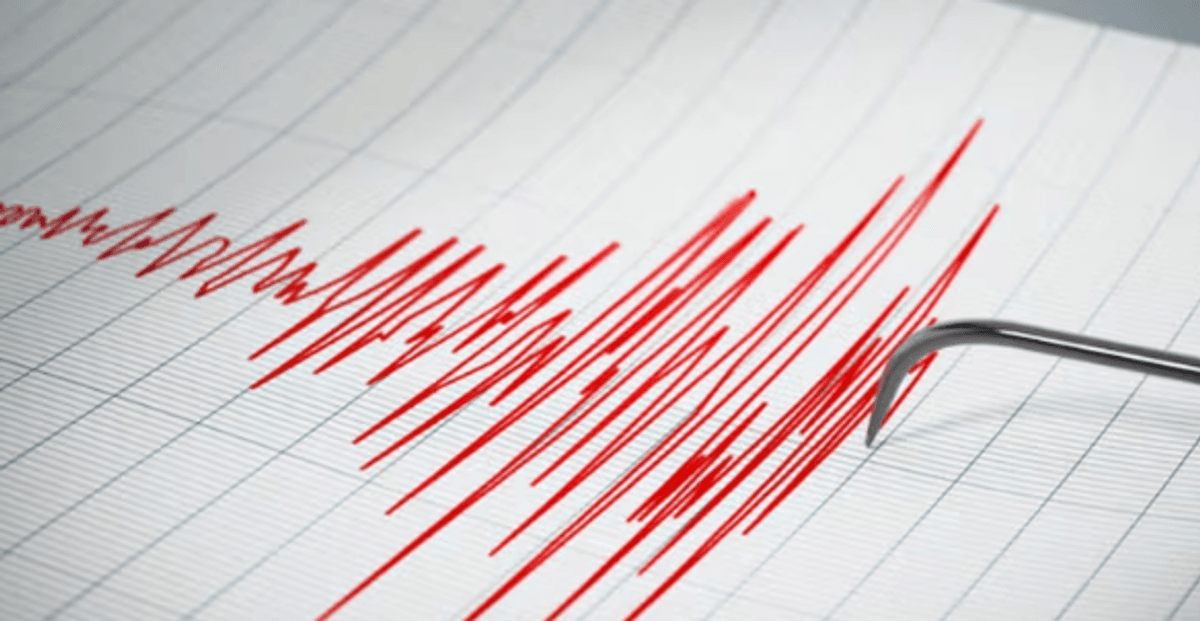 Imagen de referencia Imagen de referencia