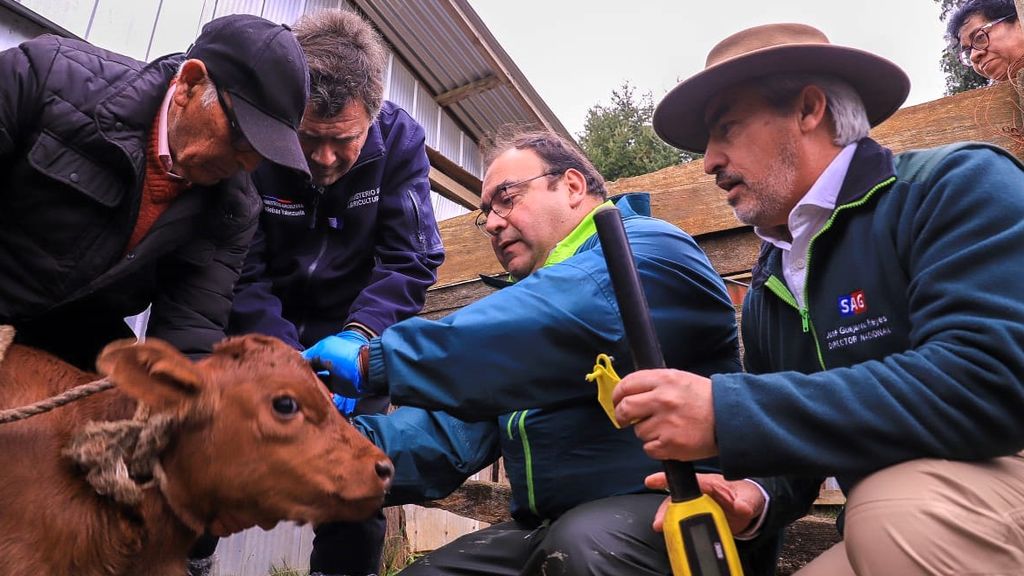 erradicar BB 4 erradicar BB 4