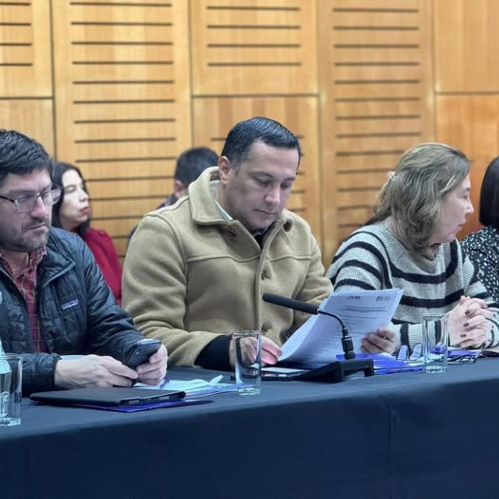 Alamiro Garrido Alamiro Garrido