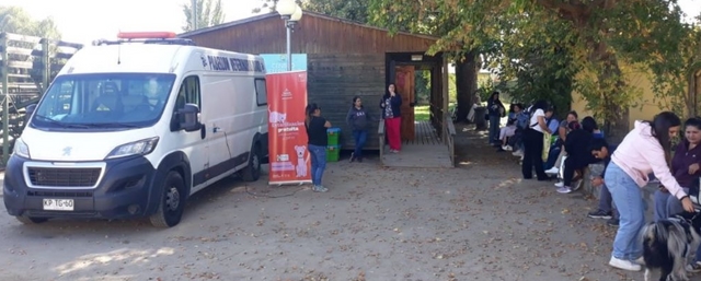 1.000 animales son esterilizados gracias a SUBDERE en la comuna de San Javier