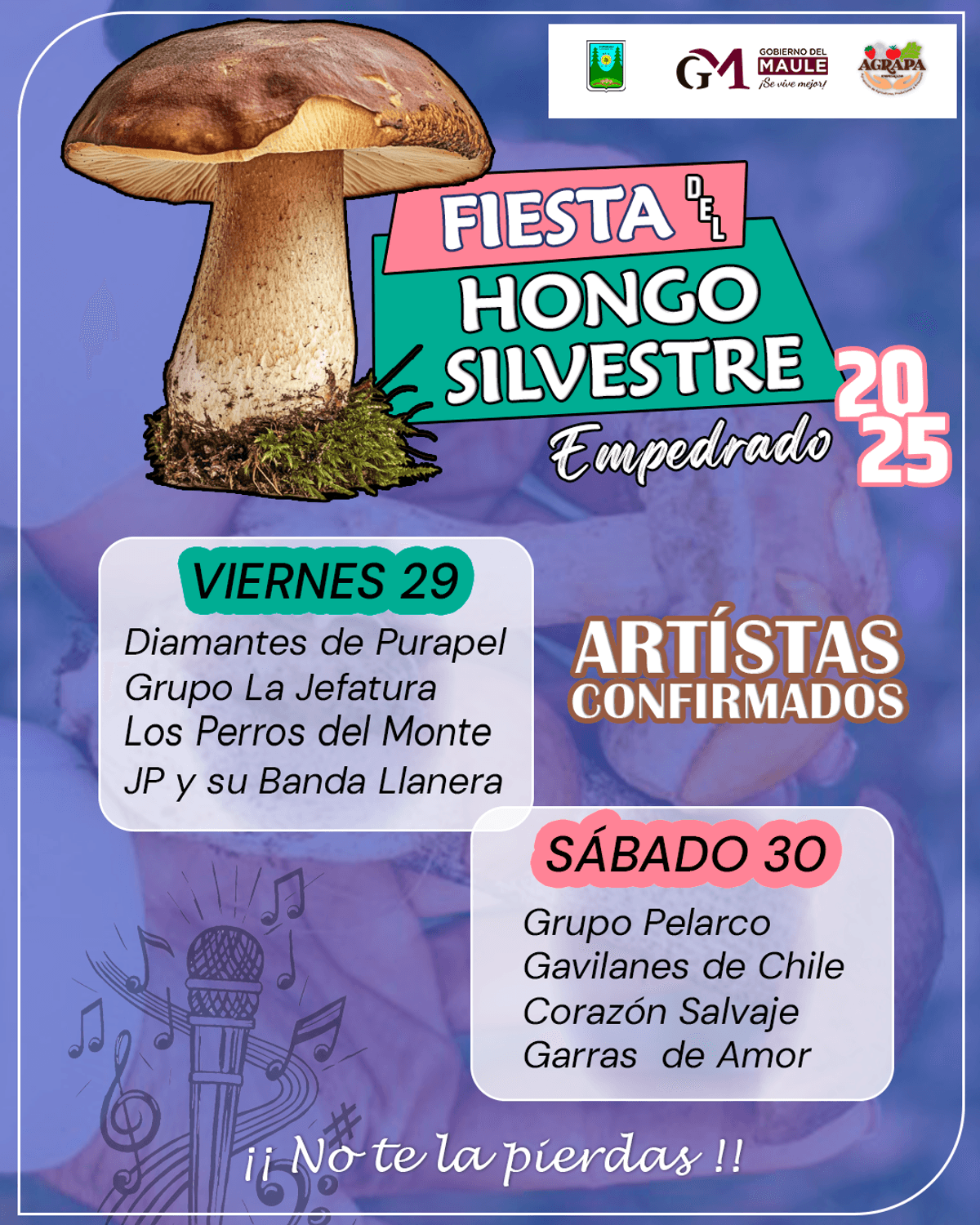 fiesta del hongo
