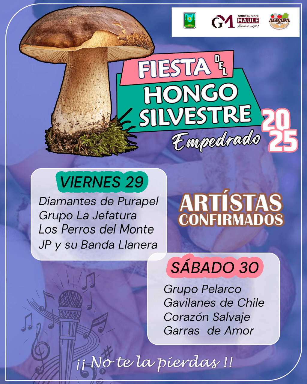 fiesta del hongo fiesta del hongo