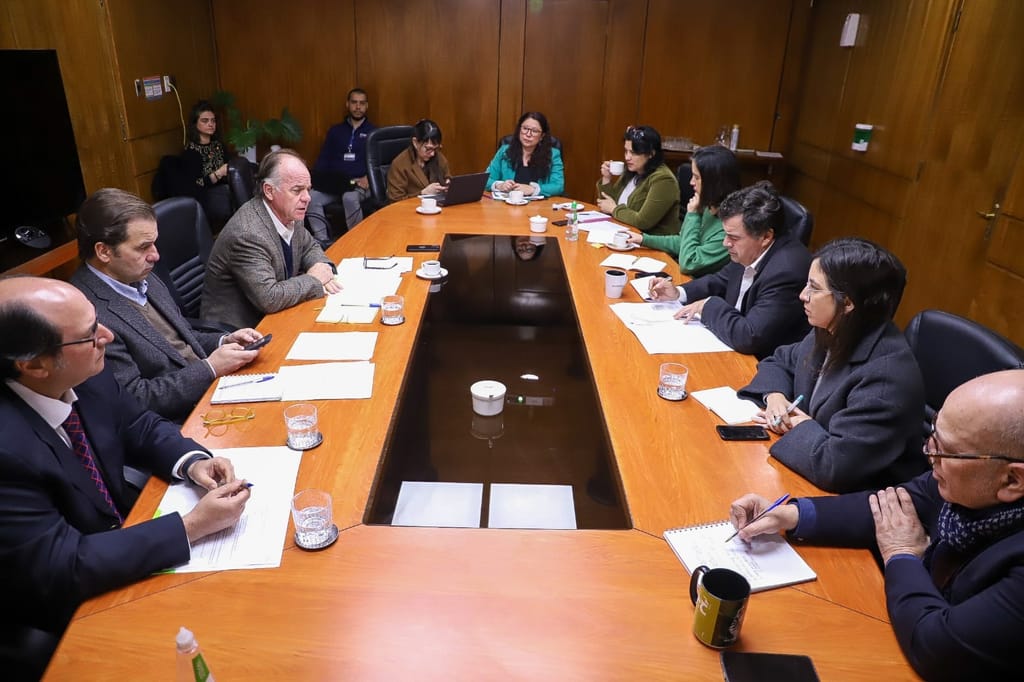 Ministerio de Agricultura estima 274 mil hectáreas afectadas y pérdidas por $904 mil millones por sistema en la zona centro sur Ministerio de Agricultura estima 274 mil hectáreas afectadas y pérdidas por $904 mil millones por sistema en la zona centro sur