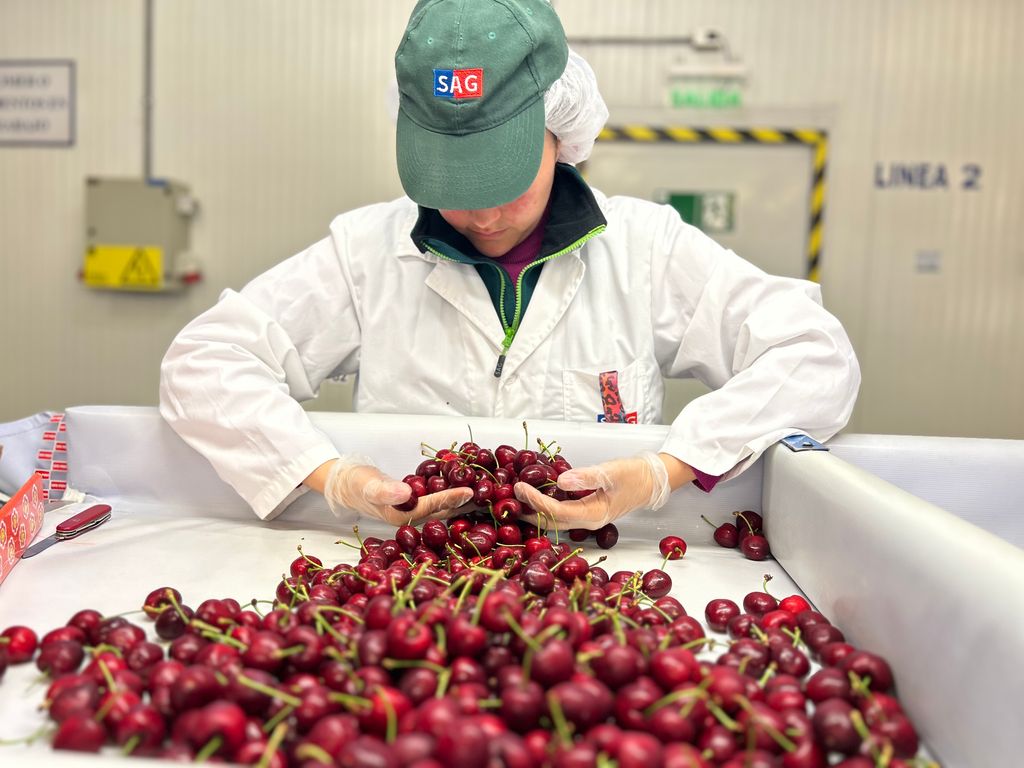 SAG 2024-09-04 1 SAG 2024-09-04 1